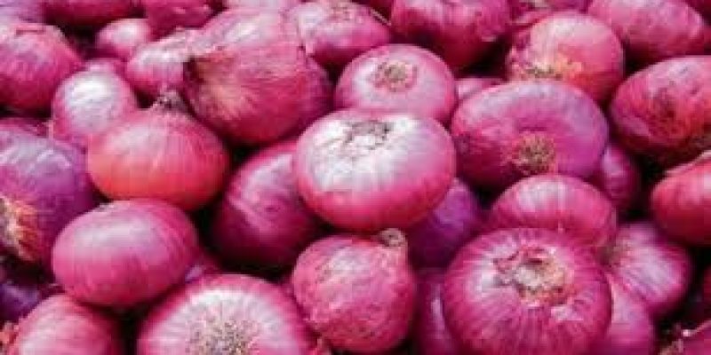 Centre permits export of Bangalore Rose Onions & Krishnapuram Onions