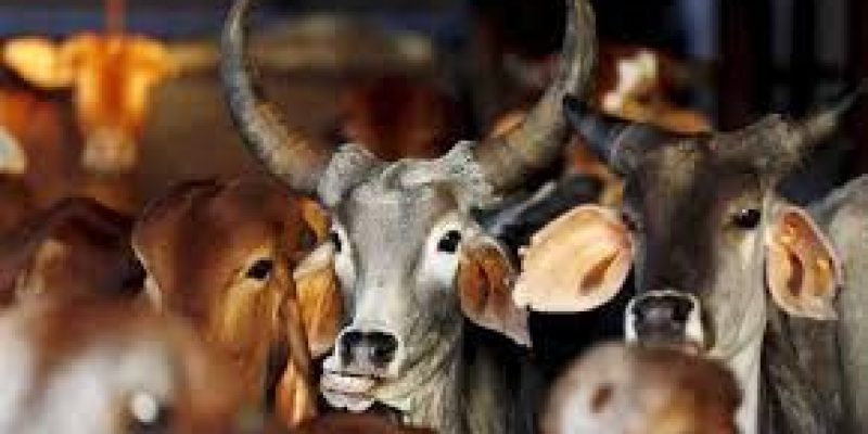 Chhattisgarh Godhan Nyay Yojana