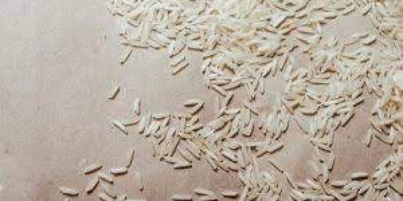 Chhattisgarh’s Nagri Dubraj rice variety gets GI tag