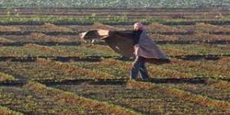 Chief Minister Krishi Rinn Yojana