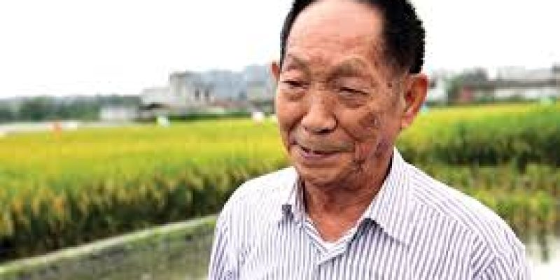 China’s ‘father of hybrid rice’ passed away