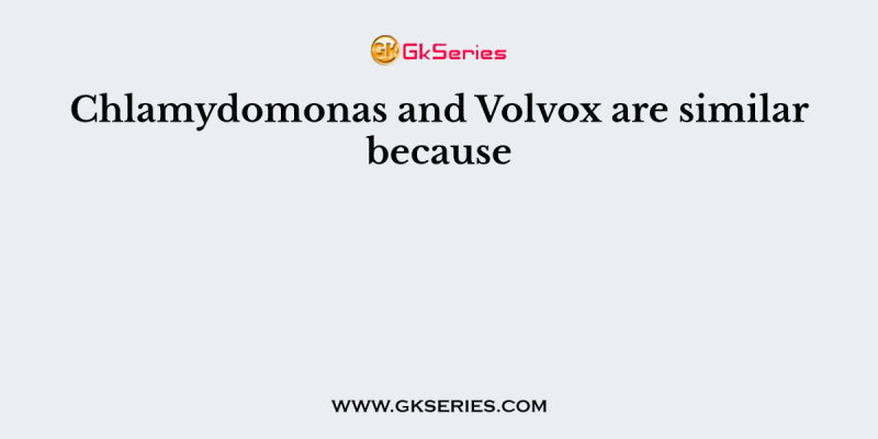Chlamydomonas and Volvox are similar because
