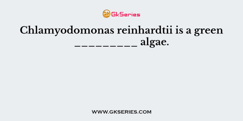 Chlamyodomonas reinhardtii is a green _________ algae.