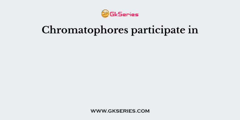 Chromatophores participate in