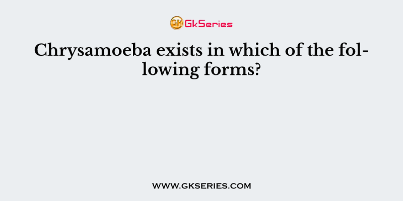 Chrysamoeba exists in which of the following forms?