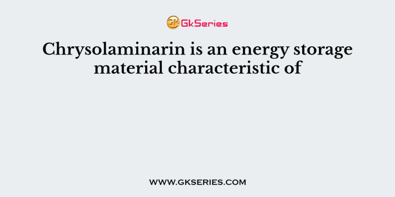Chrysolaminarin is an energy storage material characteristic of