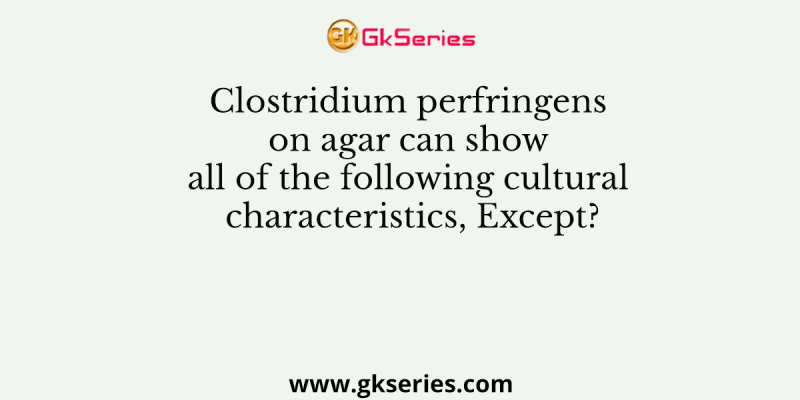 Clostridium perfringens on agar can show all of the following cultural characteristics, Except?