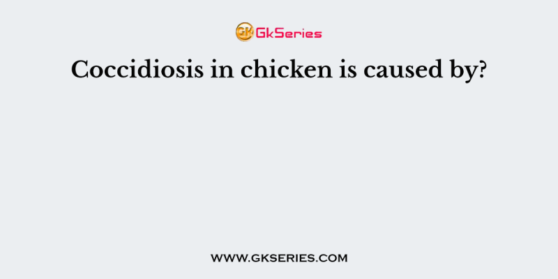 Coccidiosis in chicken is caused by?