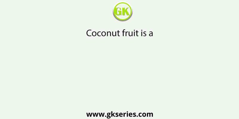 Coconut fruit is a