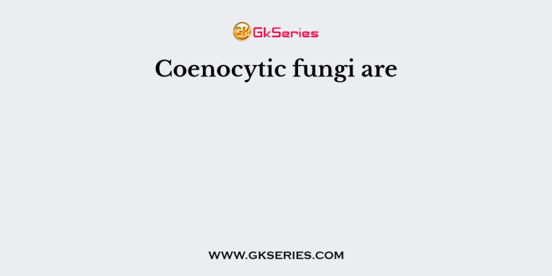 Coenocytic fungi are