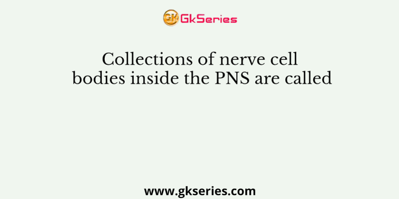 Collections of nerve cell bodies inside the PNS are called