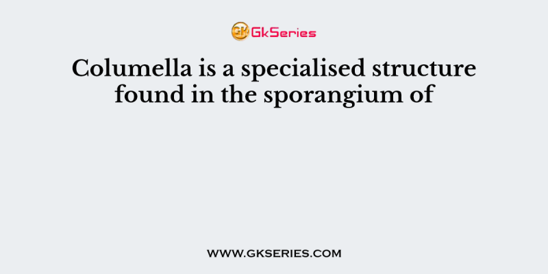 Columella is a specialised structure found in the sporangium of