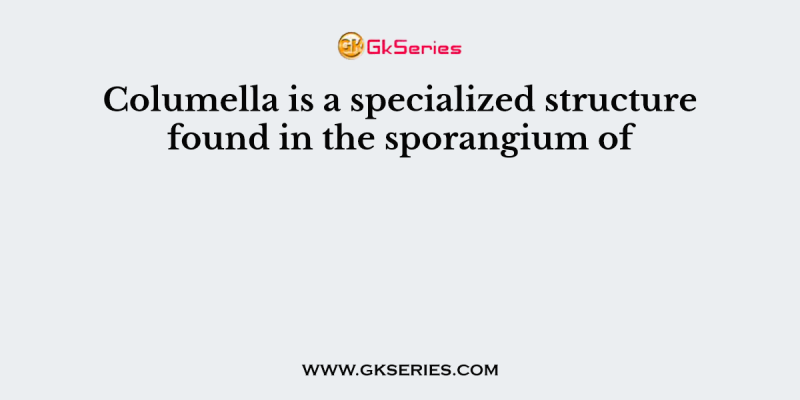 Columella is a specialized structure found in the sporangium of