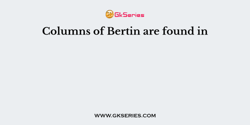 Columns of Bertin are found in