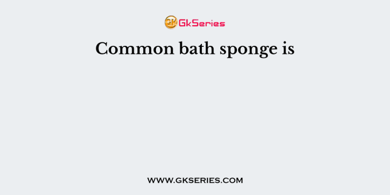 Common bath sponge is