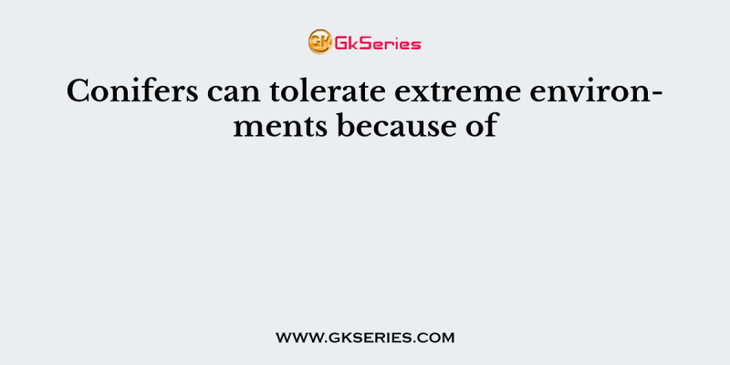 Conifers can tolerate extreme environments because of