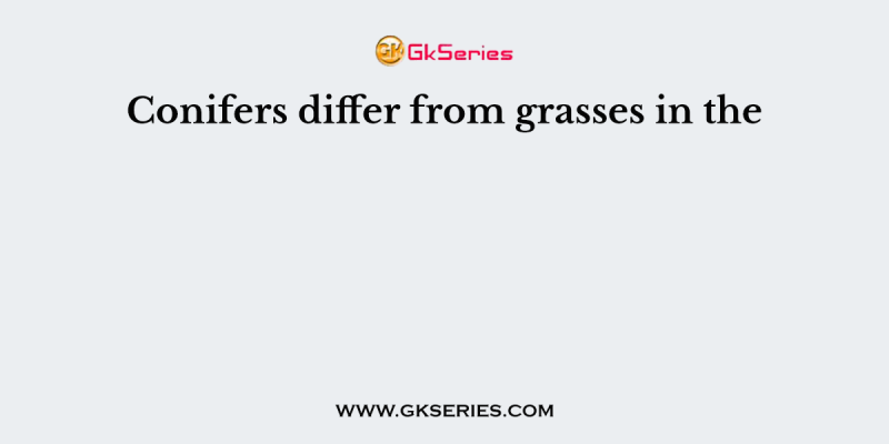 Conifers differ from grasses in the