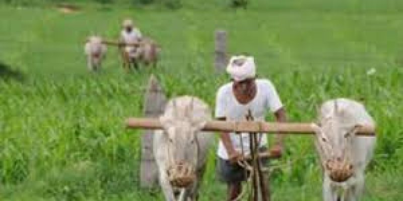 All-India Consumer Price Index Numbers for Agricultural and Rural Labourers