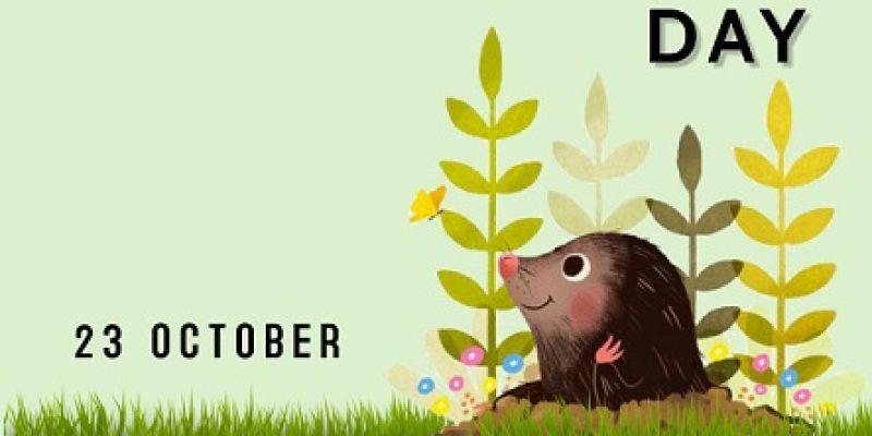 Mole Day observed on 23 October