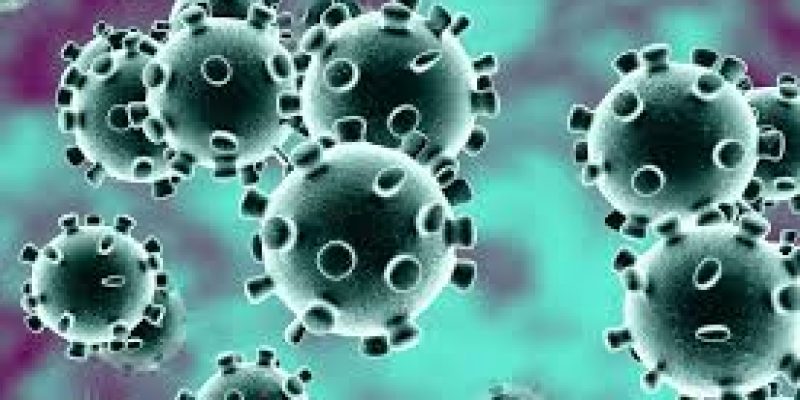 Clinical features of patients infected with novel Coronavirus in China