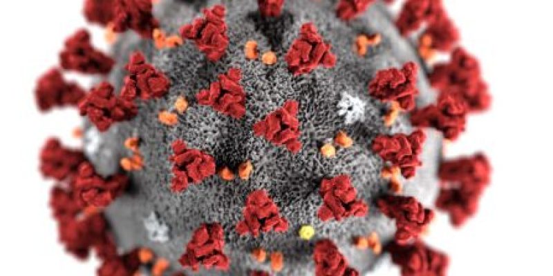 Novel coronavirus is officially named as Covid-19 by WHO