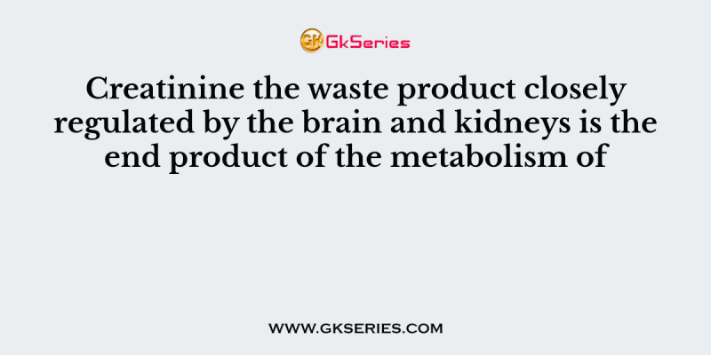 Creatinine the waste product closely regulated by the brain and kidneys is the end product of the metabolism of