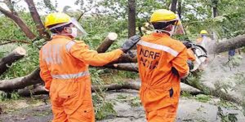 Creation of one post of Director in Senior Administrative Grade (SAG)