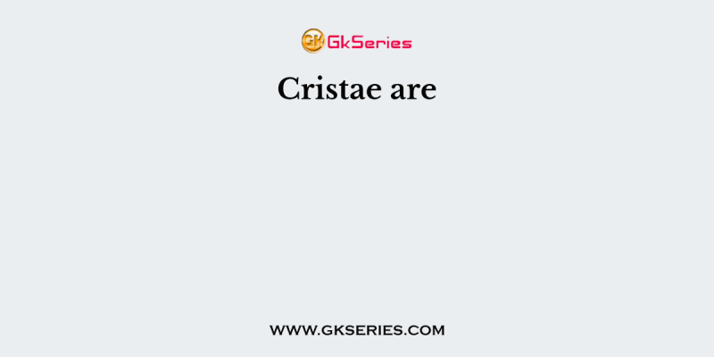 Cristae are