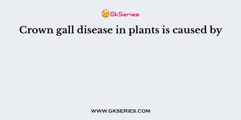 Crown gall disease in plants is caused by