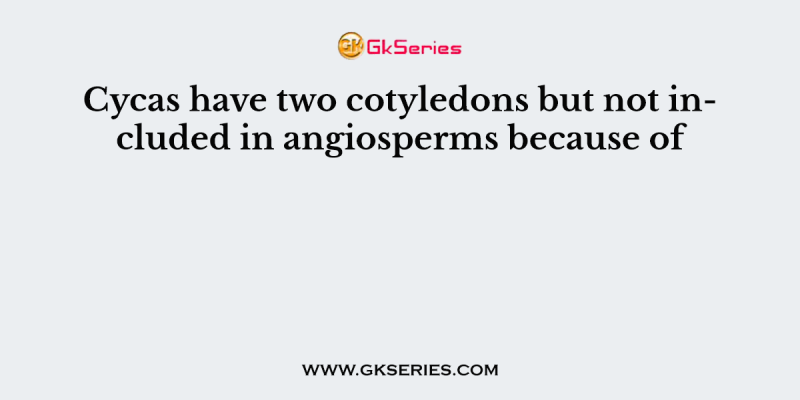 Cycas have two cotyledons but not included in angiosperms because of