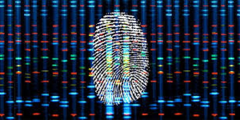 DNA fingerprinting