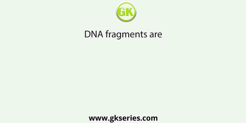 DNA fragments are