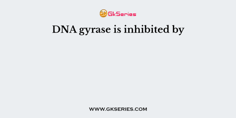 DNA gyrase is inhibited by