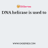What is the main damaging effect of UV radiation on DNA?
