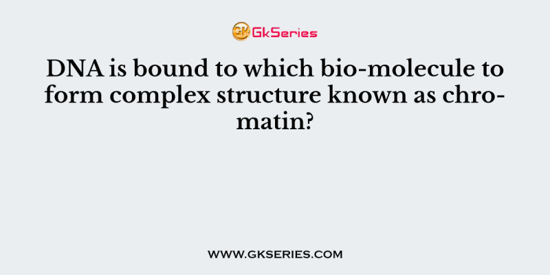 DNA is bound to which bio-molecule to form complex structure known as chromatin?
