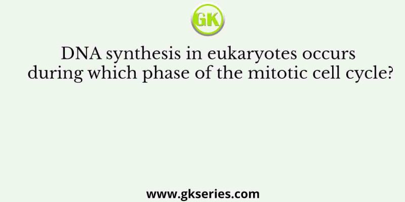 DNA synthesis in eukaryotes occurs during which phase of the mitotic cell cycle?