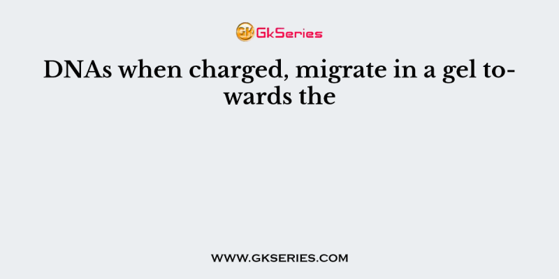DNAs when charged, migrate in a gel towards the
