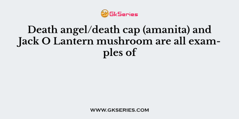 Death angel/death cap (amanita) and Jack O Lantern mushroom are all examples of