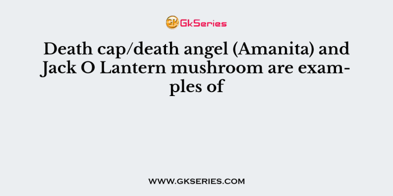 Death cap/death angel (Amanita) and Jack O Lantern mushroom are examples of