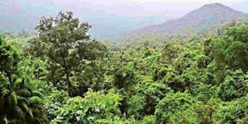 Deemed Forests in Karnataka