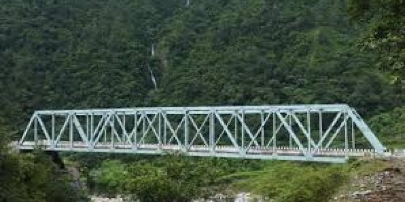 Defence Minister inaugurated 44 bridges built by BRO in border areas