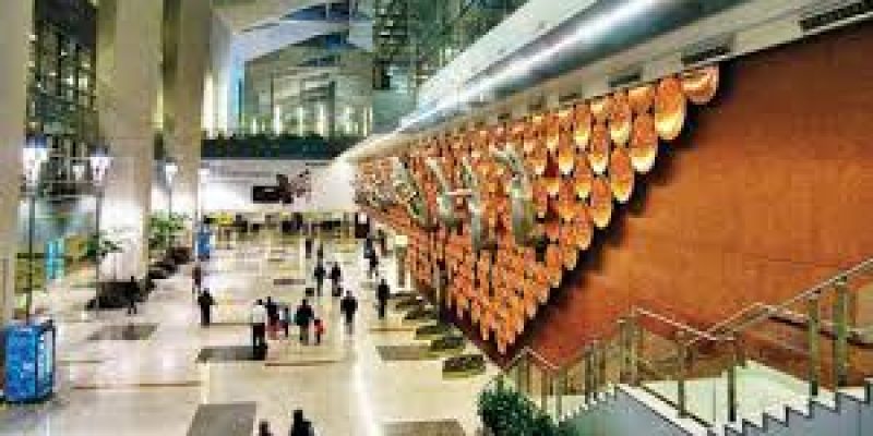 Delhi Airport develops portal for all international arriving passengers