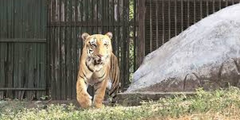 Delhi Zoo provided ecosystem service worth ₹55.5K crore, estimates study