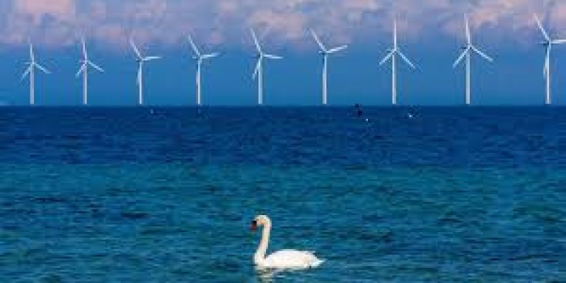 Denmark Will Build Artificial Island to House Wind Energy Hub
