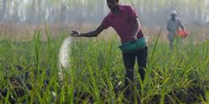 Dept of Fertilizers ranked 3rd among 65 ministries/depts in implementing central schemes