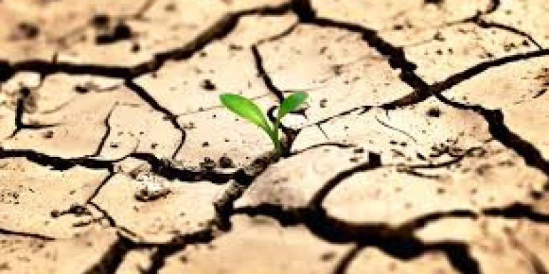 World Day to Combat Desertification and Drought 2020