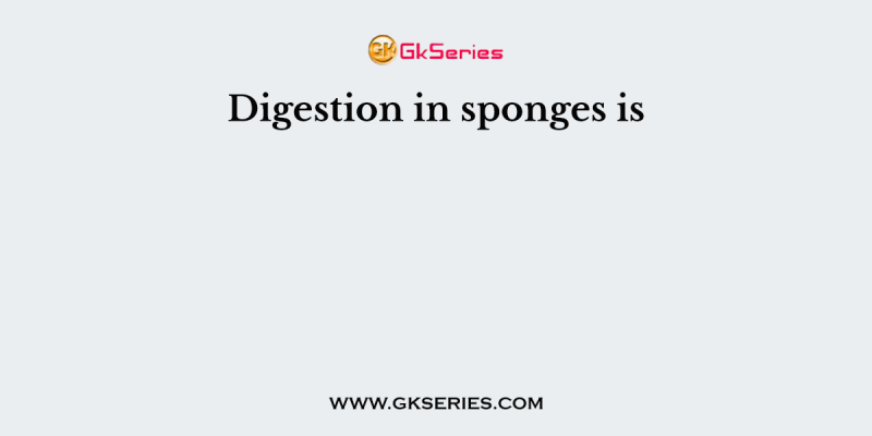 Digestion in sponges is