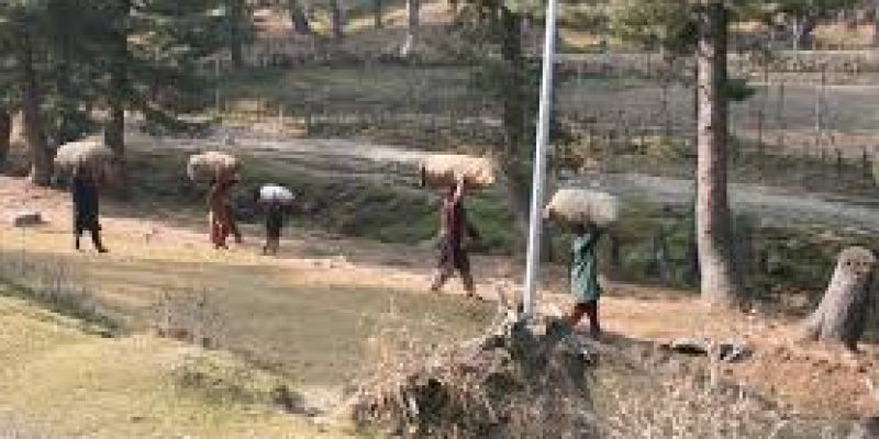 District Development Councils (DDC)