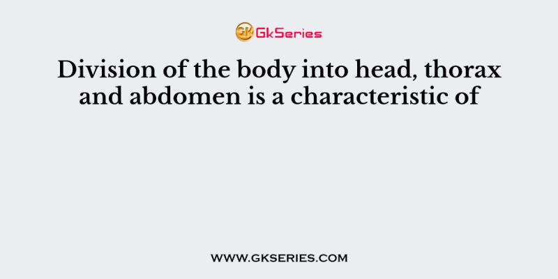 Division of the body into head, thorax and abdomen is a characteristic of