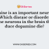 Cerebral palsy affects neurons in which part of the body?